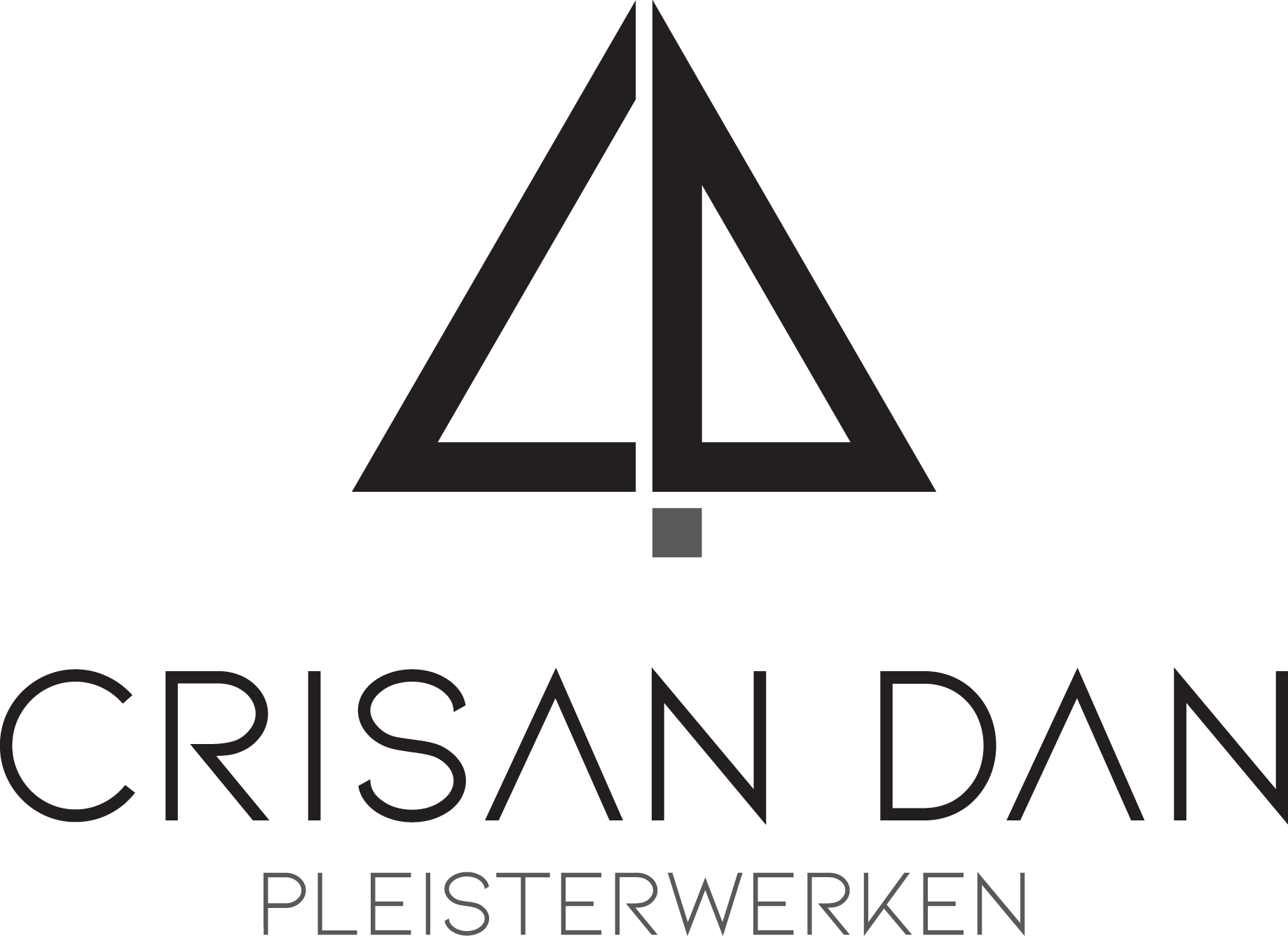 Crisan Dan Pleisterwerken